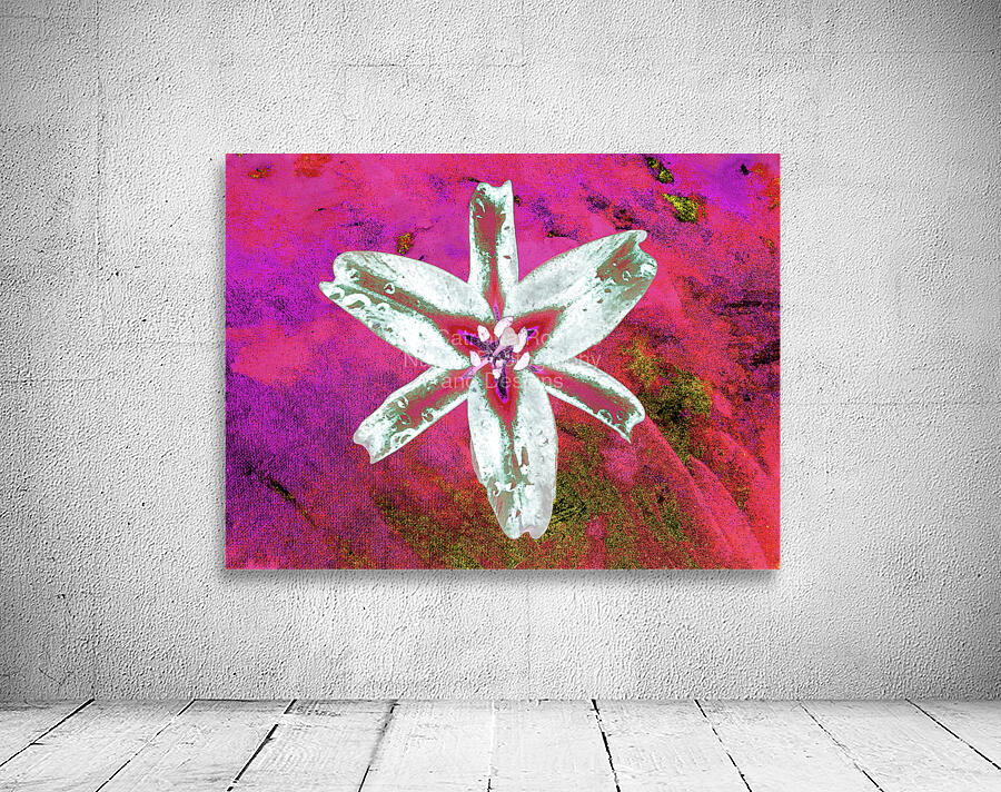 Abstract Contrasting Stunning Lily Flower Wall Preview