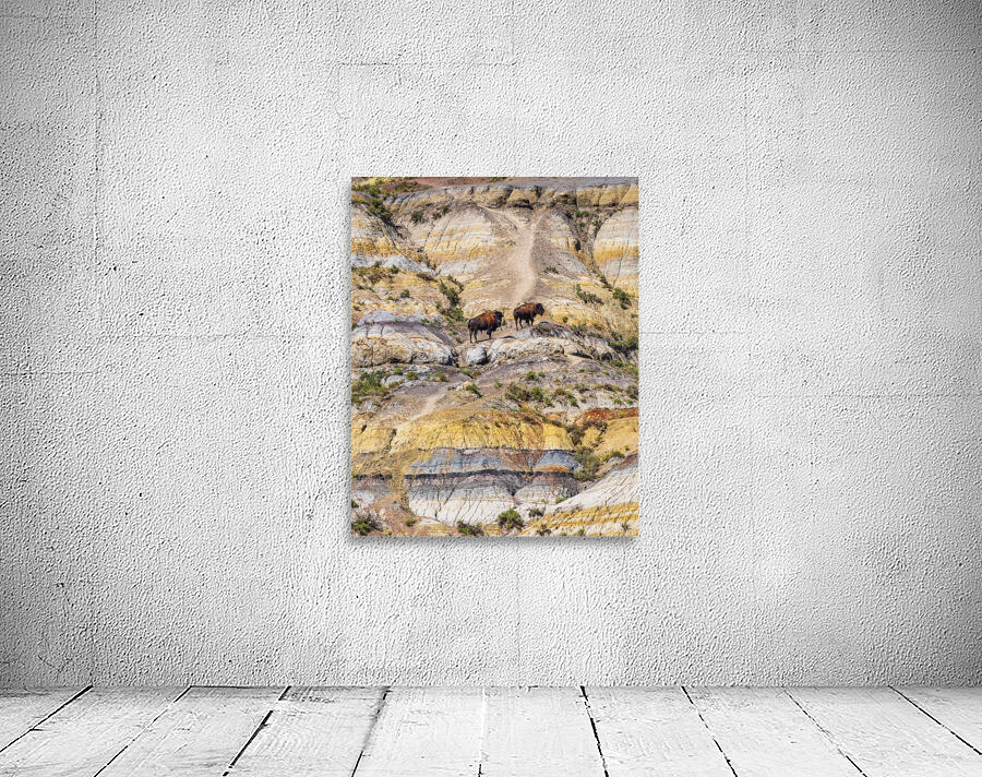 Badlands Bison Wall Preview