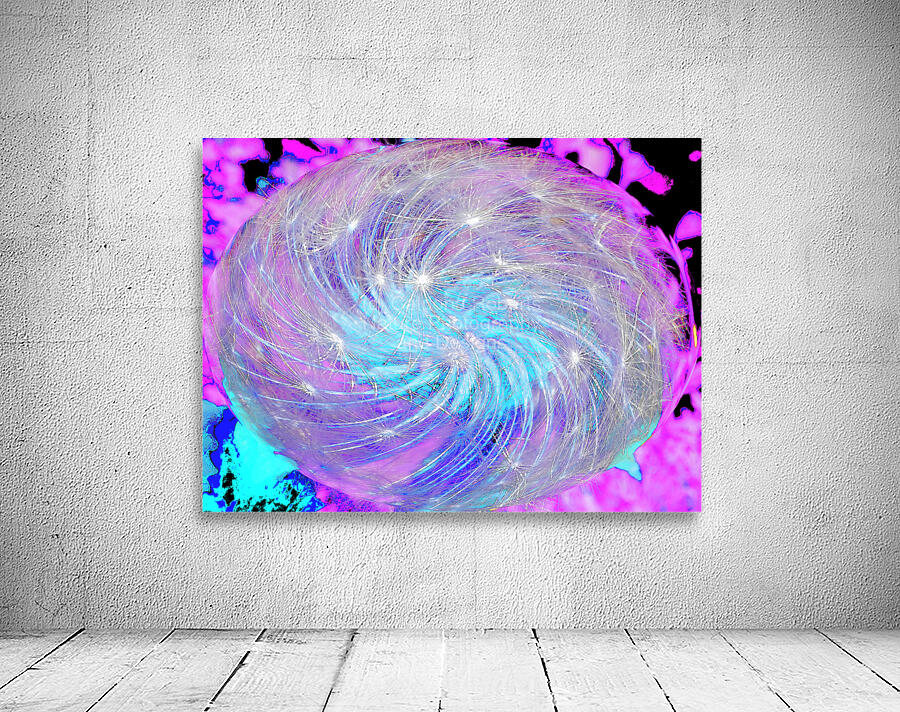 Abstract Swirling Dynamic Dandelion Wall Preview