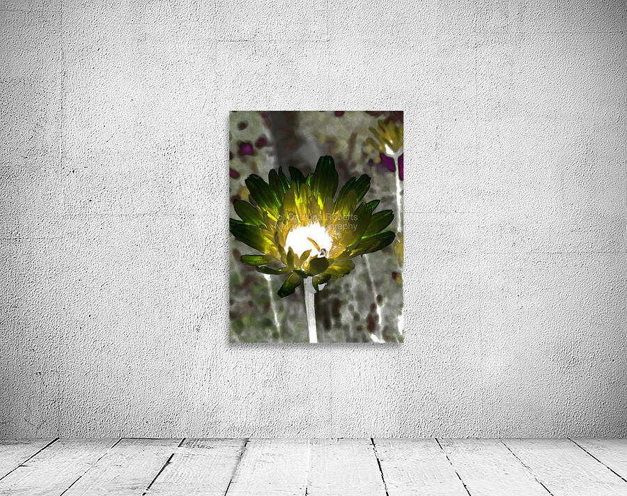 Abstract Impressionistic Glowing Illuminated Daisy Flower Wall Preview