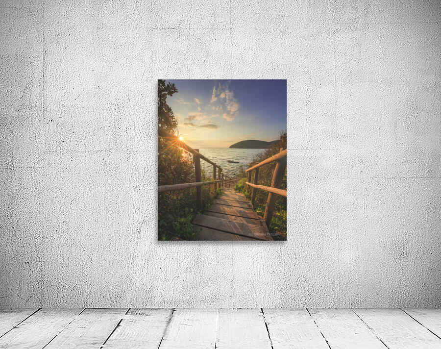 Descent to the sea in Cala Violina beach in Tuscany Wall Preview