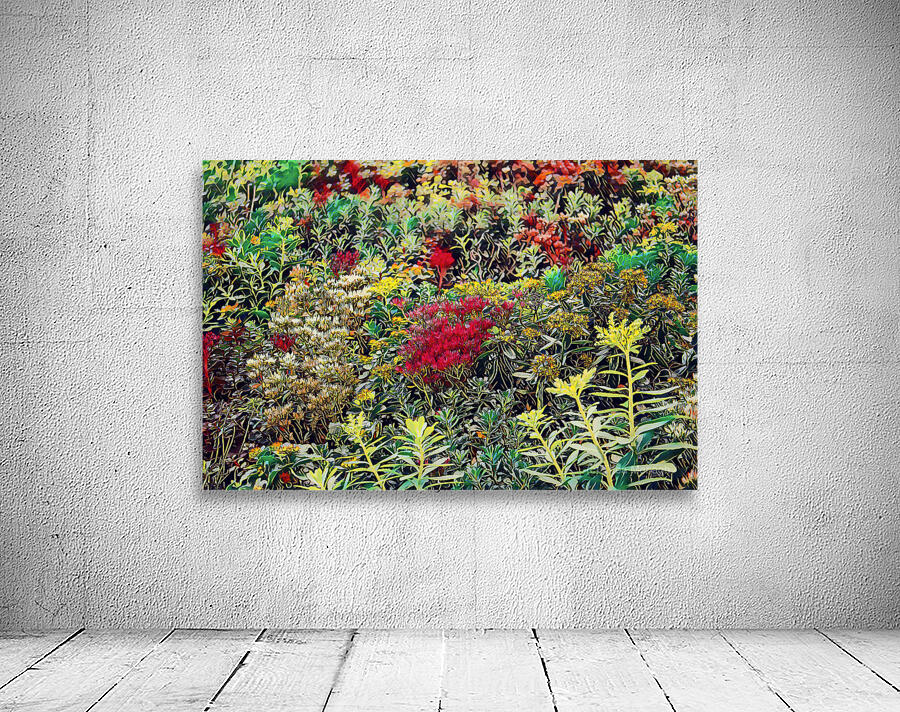 Ground Cover Up the Wall by Thea Menagh