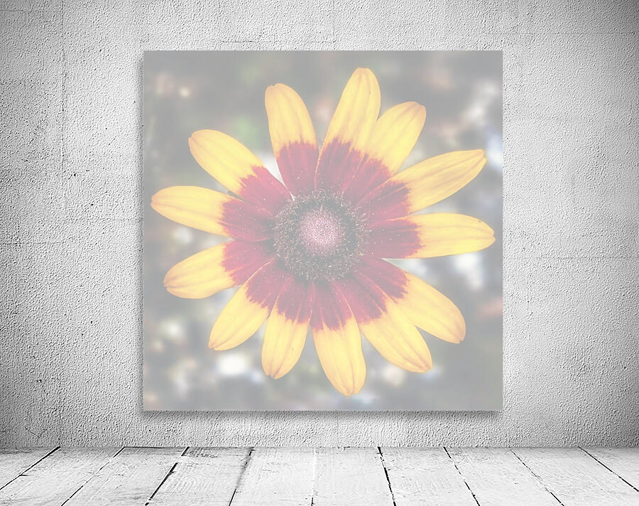 Symphony of Petals - Maine Botanical Wall Art Wall Preview