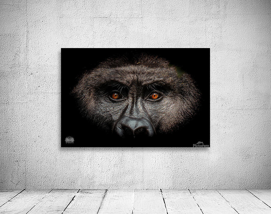 Gaze of Bahati Wall Preview