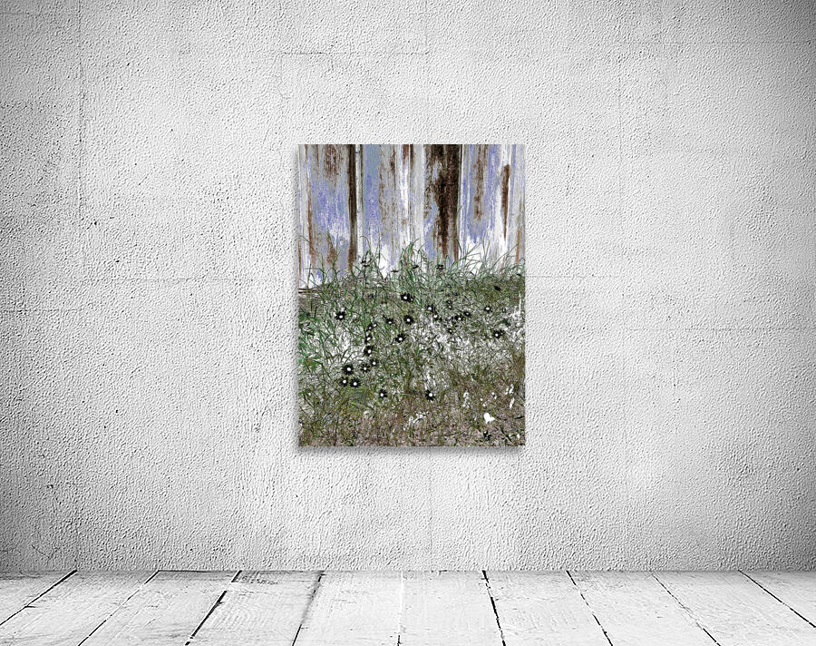 Summer Daises and Grass Wall Preview