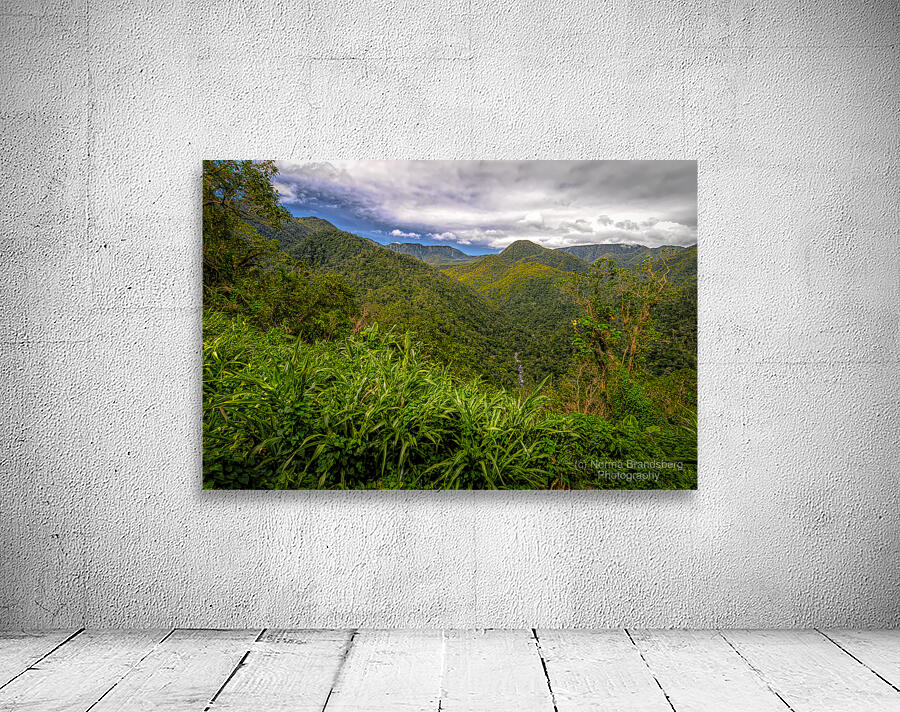 Costa Rica Colors of the Rainforest by Norma Brandsberg Photography