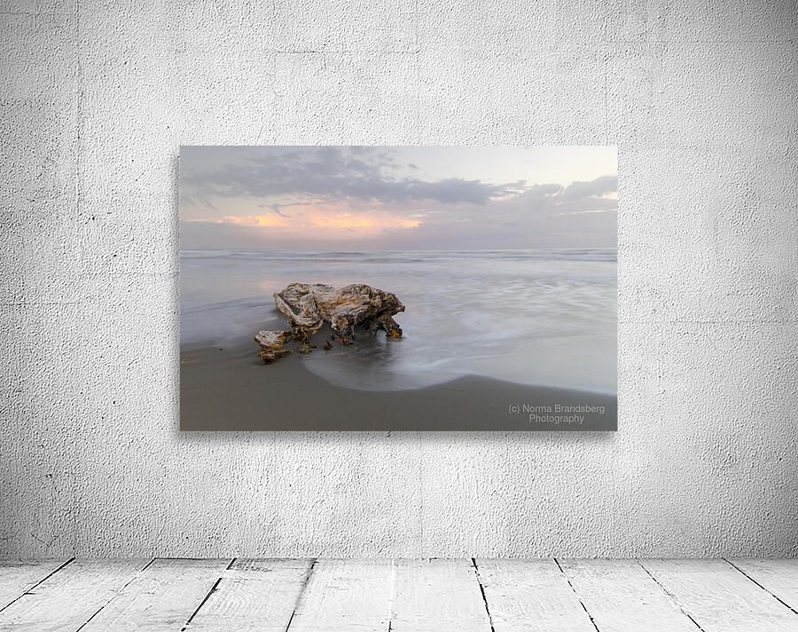 Caribbean Driftwood and Black Sand Beach by Norma Brandsberg Photography
