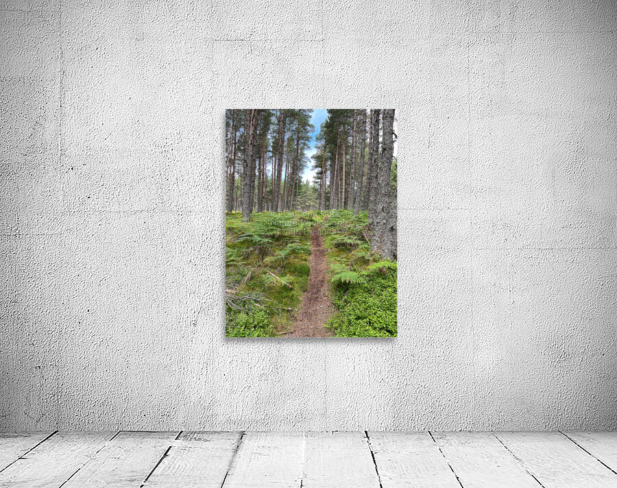 On the Nature Trail in the Scottish Highlands Wall Preview
