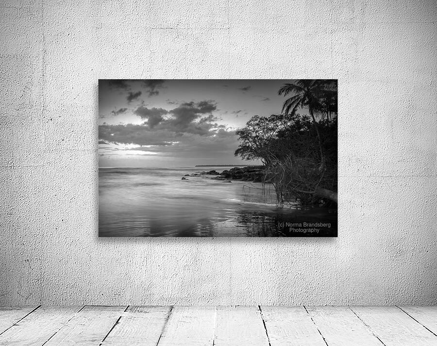 Eastern Costa Rica Caribbean Black Sand Beach by Norma Brandsberg Photography