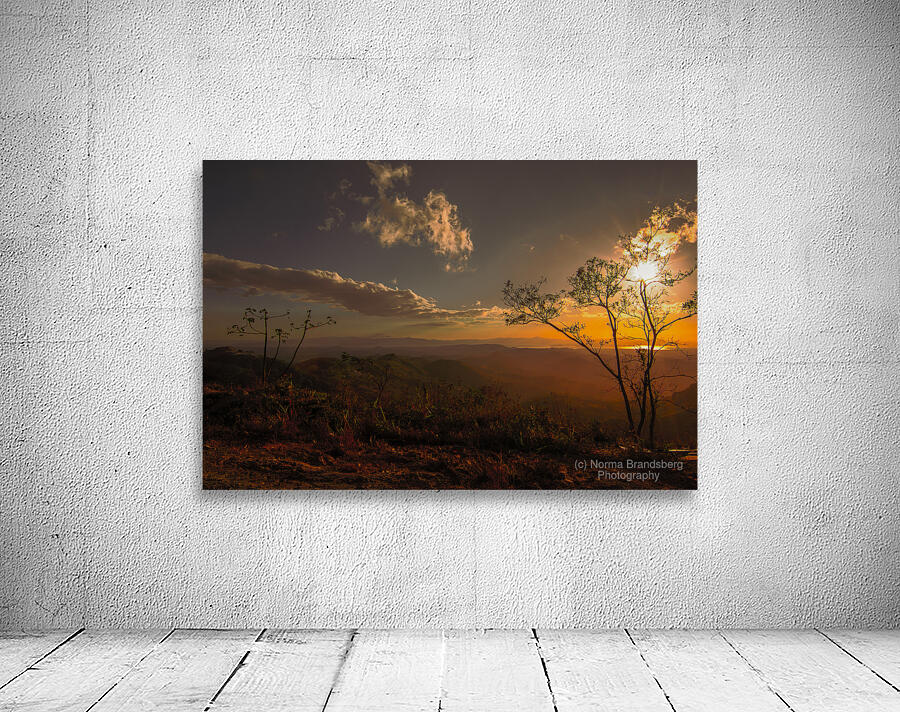 Costa Rica Plantation Hillsides at Sunset by Norma Brandsberg Photography