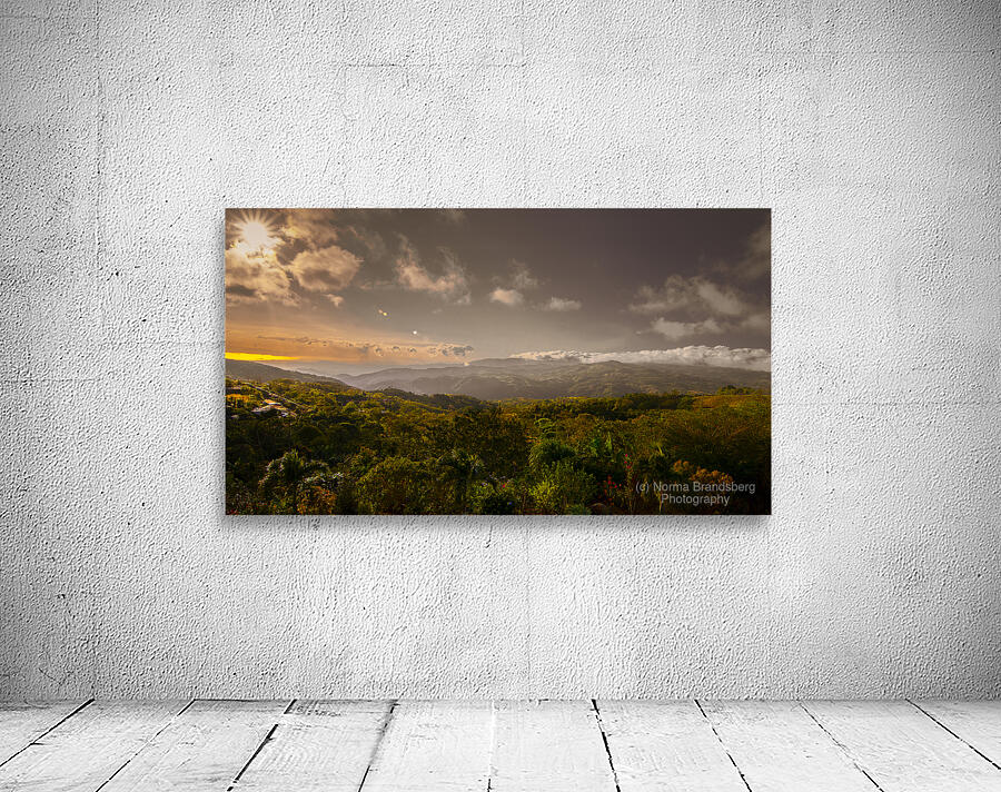 Central America Rain Forest Mountains by Norma Brandsberg Photography