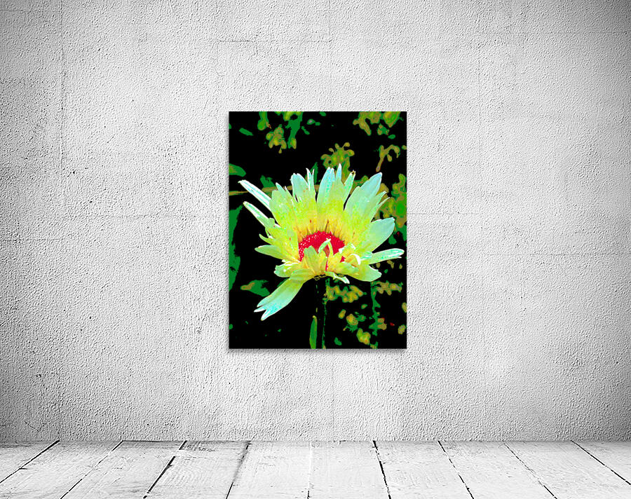 Abstract Summer Daisy Flower Wall Preview