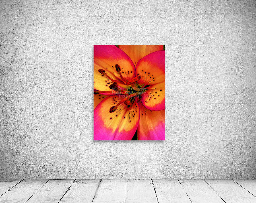 Abstract Close Up Lily Flower Wall Preview