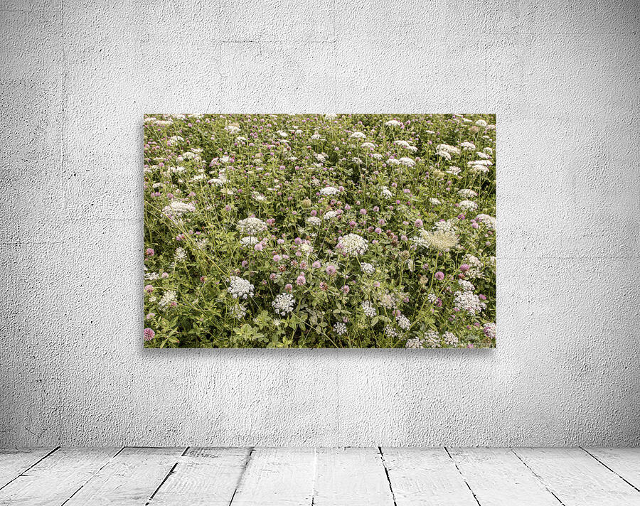 They Play So Well Together Wall Preview