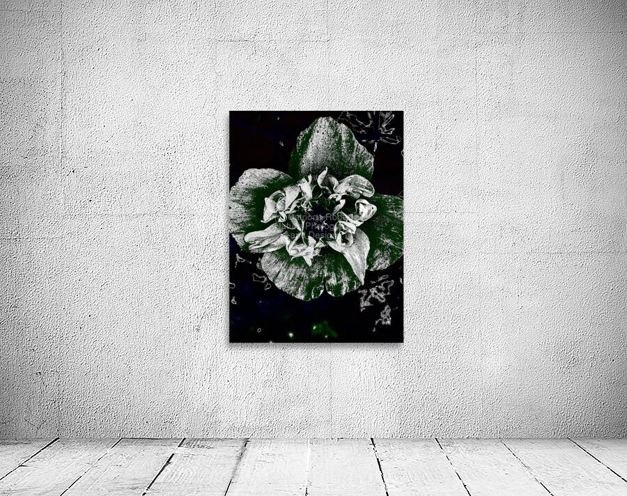 Abstract Dark Poppy Flower Wall Preview