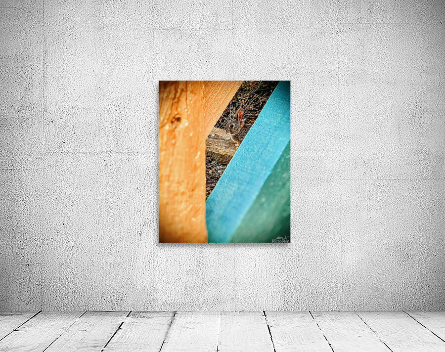 Bunnyette Wall Preview