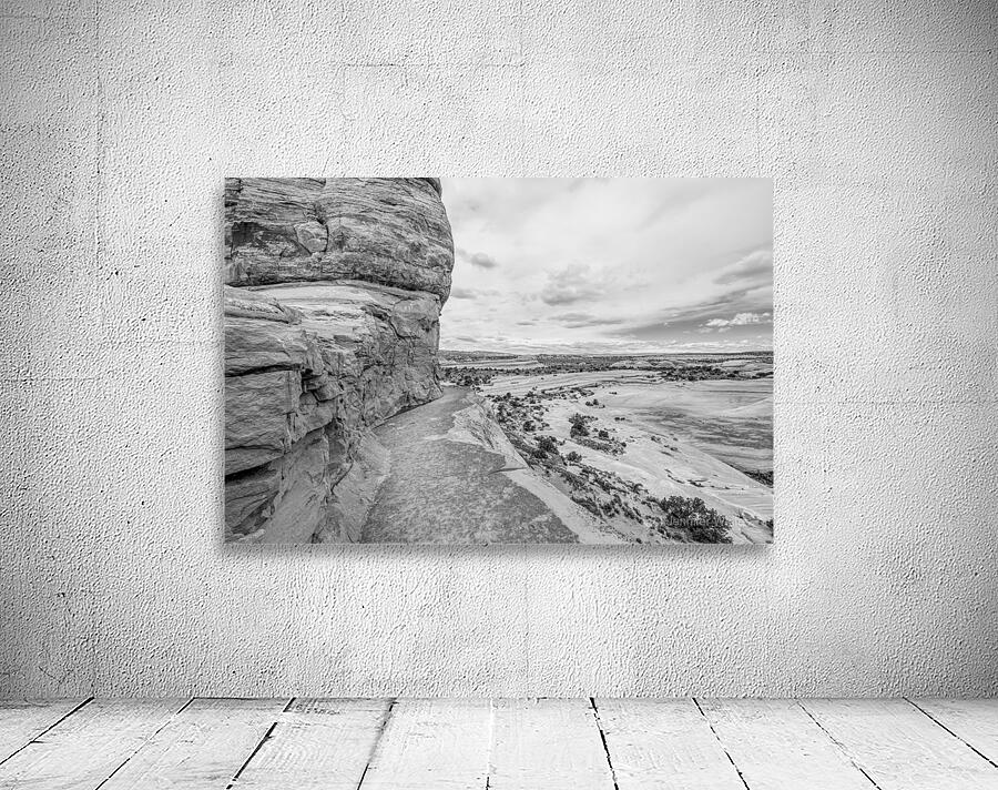 Delicate Arch Narrow Path Grayscale Wall Preview