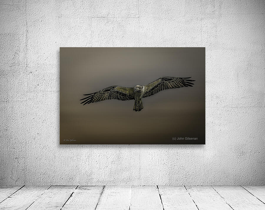 11075 Osprey at Altitude Wall Preview