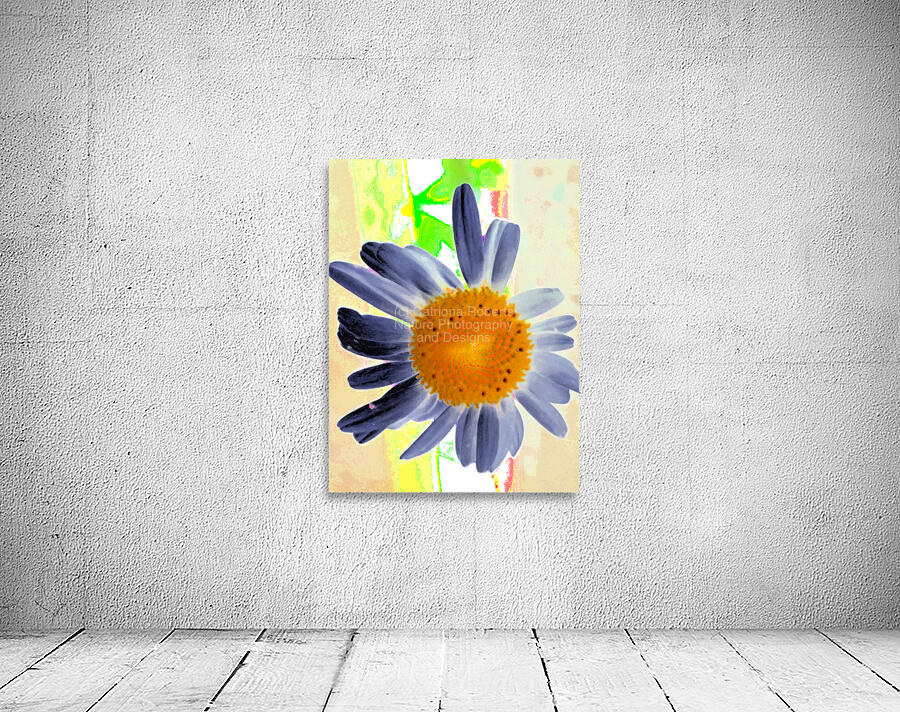 Abstract Surreal Daisy Flower Wall Preview