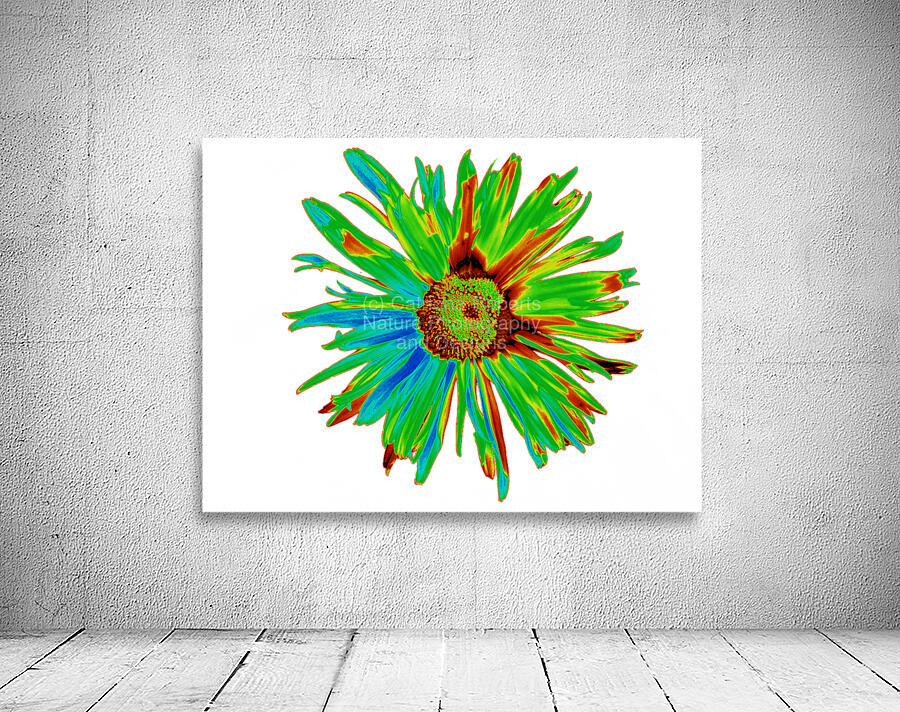 Abstract Neon Psychedelic Daisy Flower Wall Preview