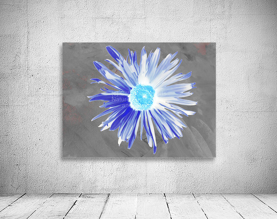Abstract Luminescent Daisy Flower Wall Preview