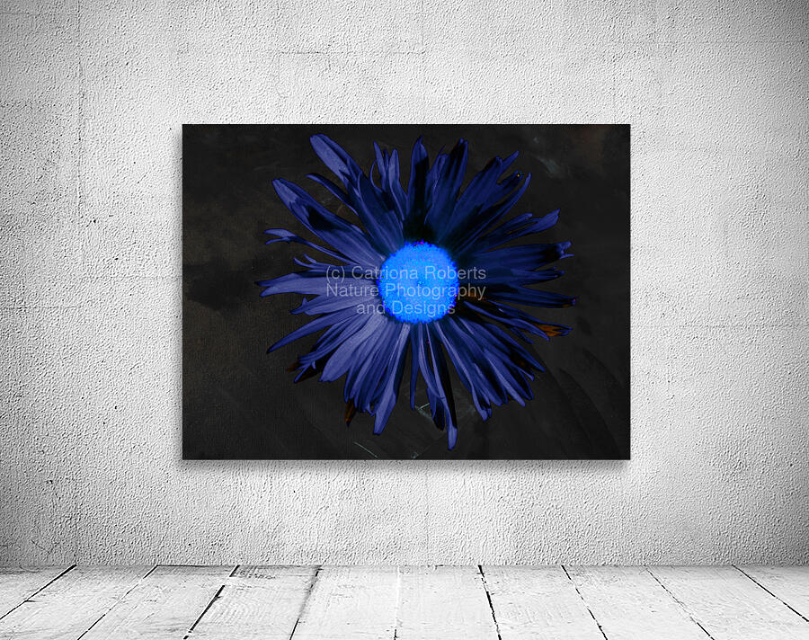  Abstract Blue Centred Daisy on a Dark Background Wall Preview