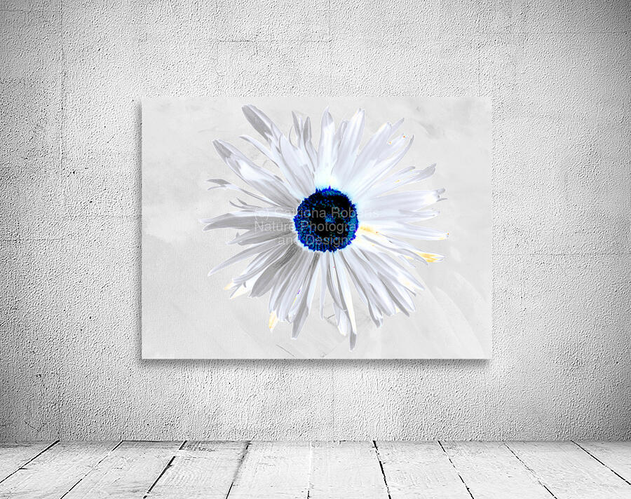 Abstract Minimalist Daisy Flower Wall Preview