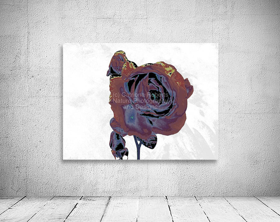 Abstract Dramatic  Rose Wall Preview