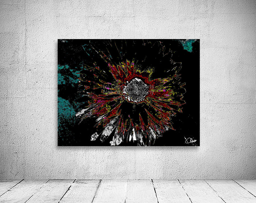 Abstract Vibrant Dark Daisy on an Abstract Background  Wall Preview