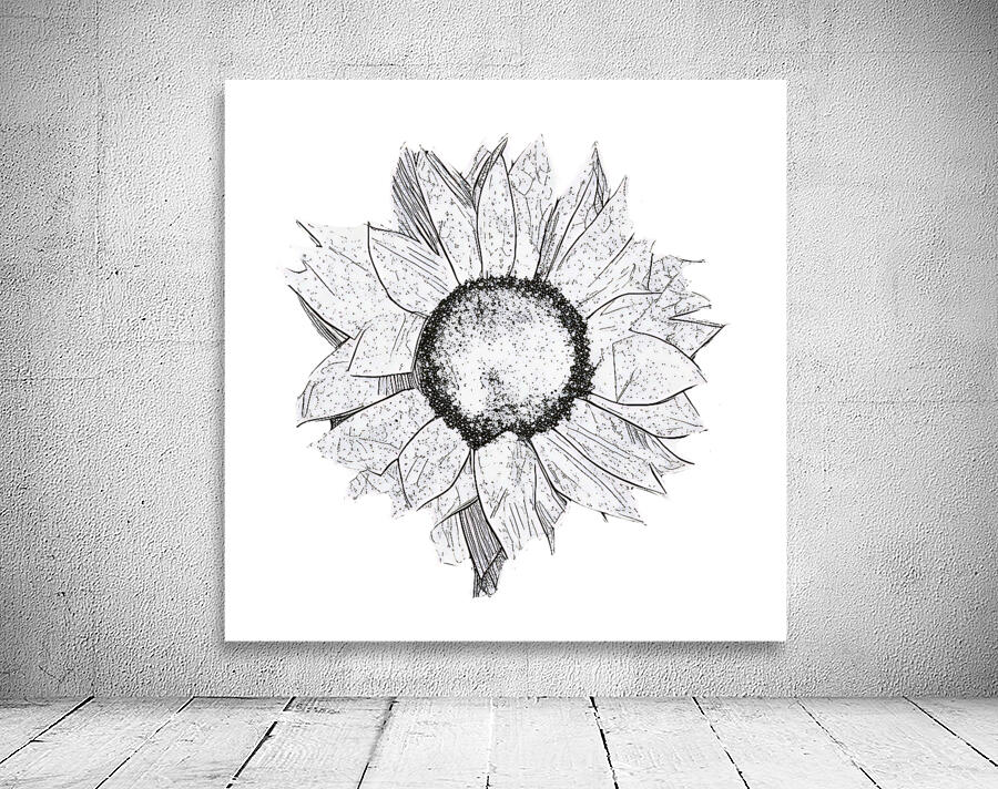 sunflower drawing 2408206 by Forgotten Art