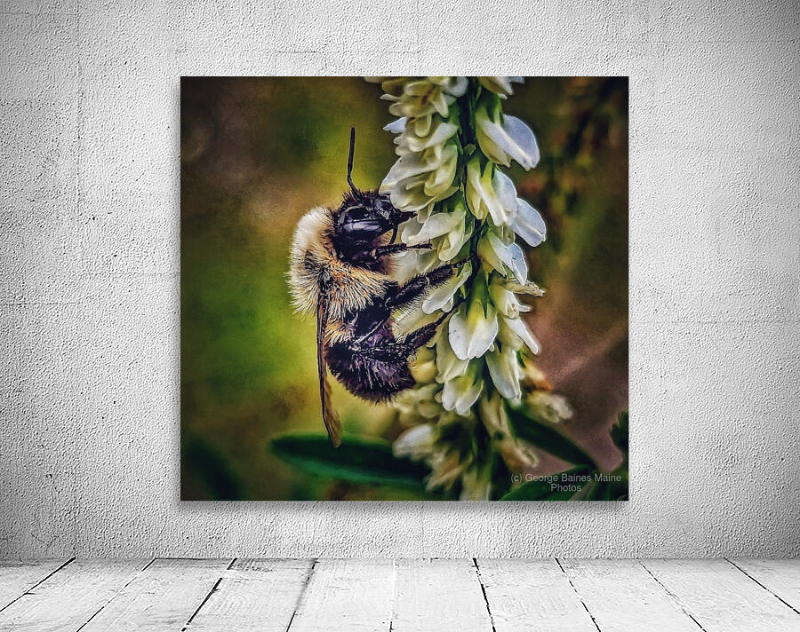 Petal Perch - Maine Botanical Wall Art Aperçu sur mur