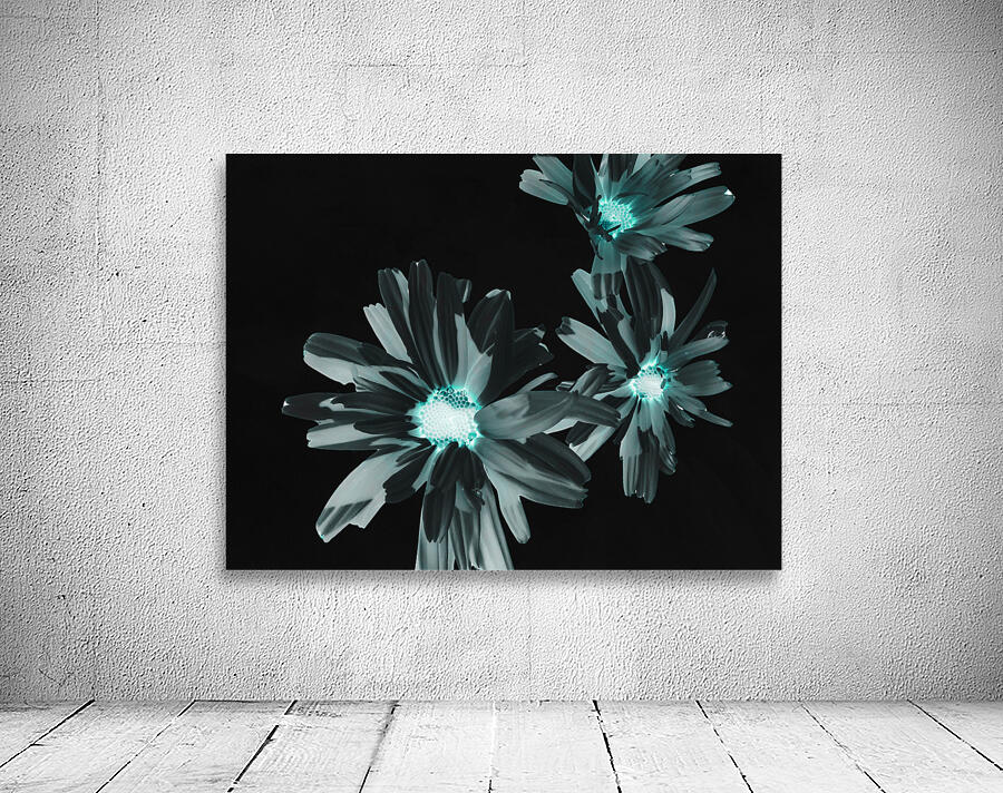 Abstract Glowing Daises on a Dark Background Wall Preview