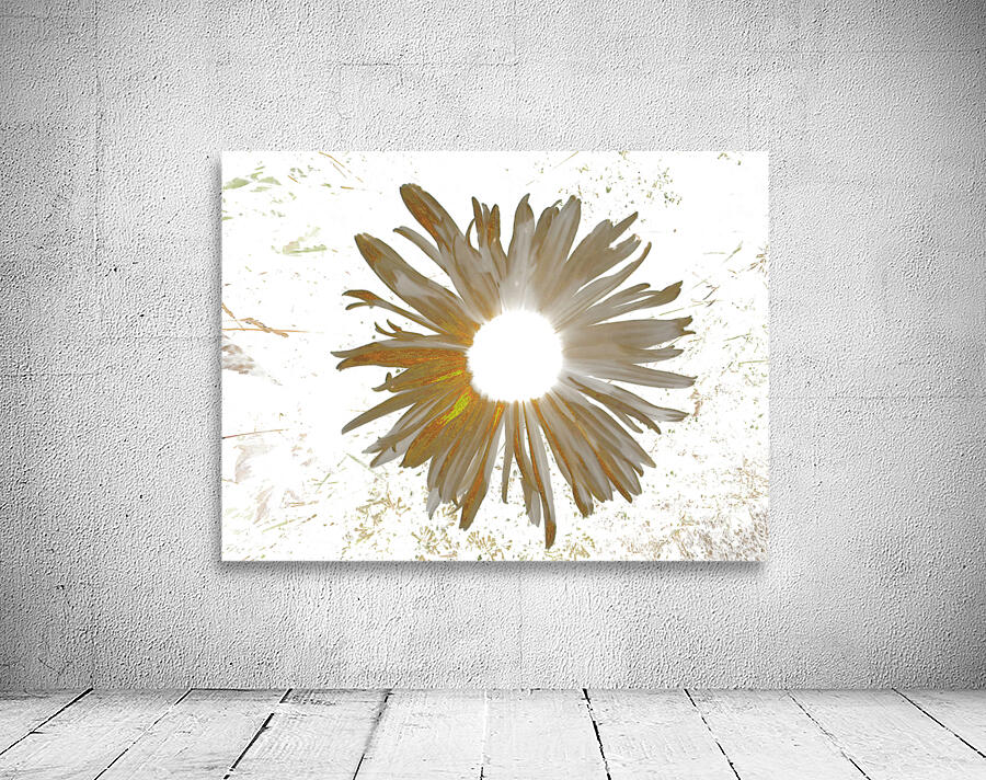 Abstract Daisy Light Star Wall Preview