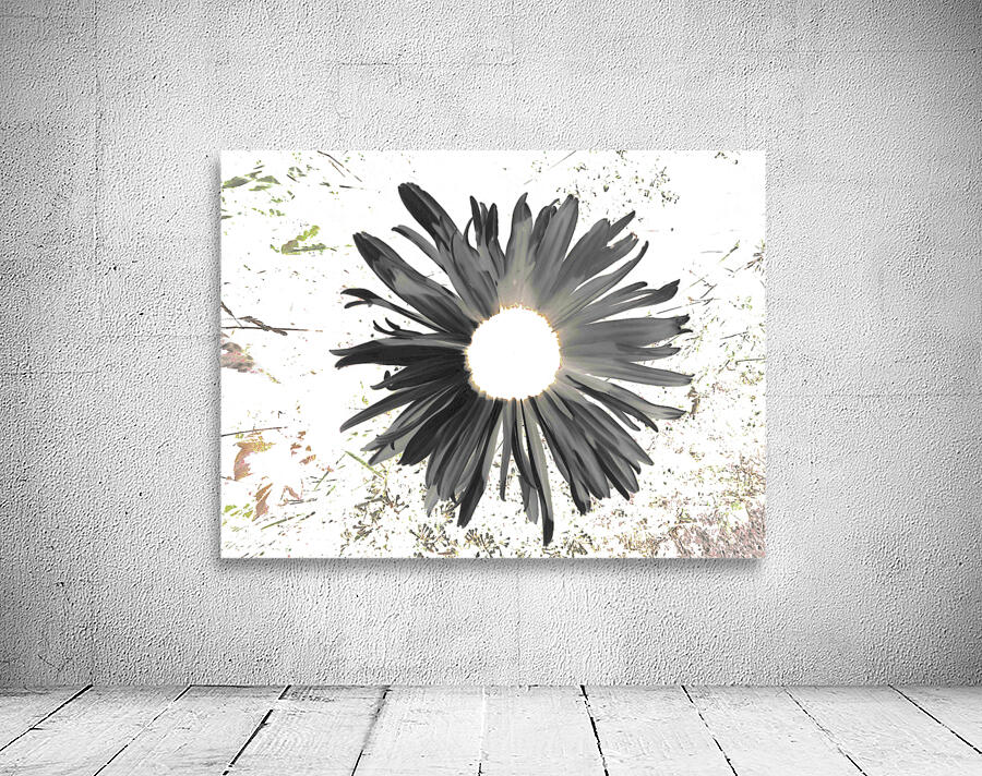 Abstract Dark Daisy Star Light Wall Preview