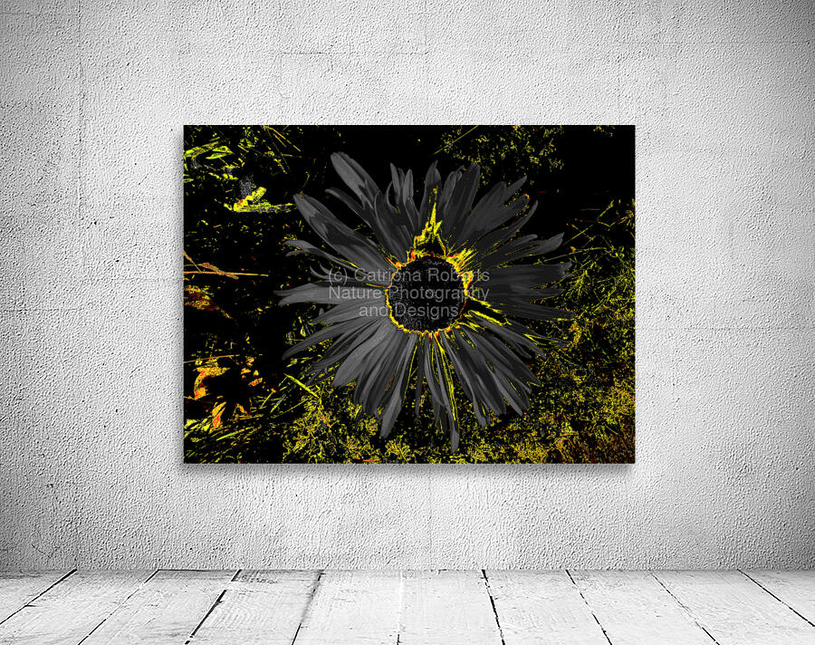 Abstract Dark Daisy Wall Preview