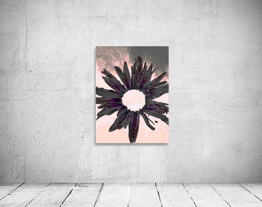 Abstract Fiery Daisy Muted Background Wall Preview