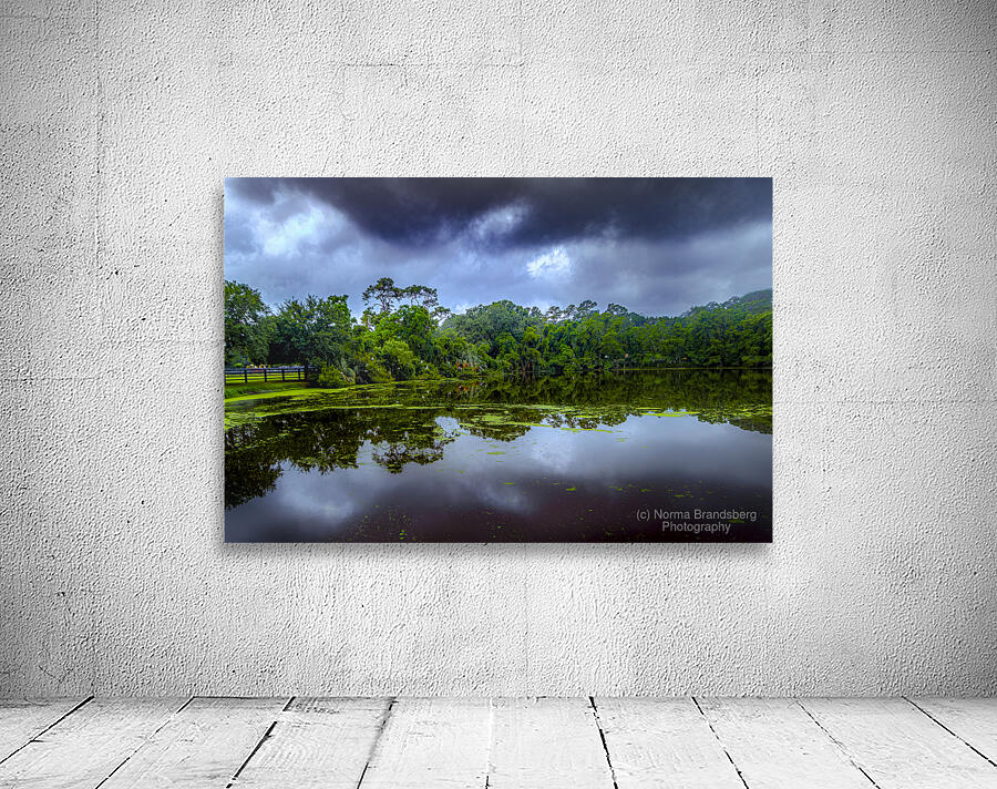 Sea Pines Rookery and Horse Farm Wall Preview