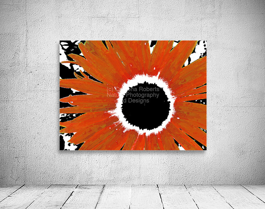 Abstract Orange Daisy Wall Preview