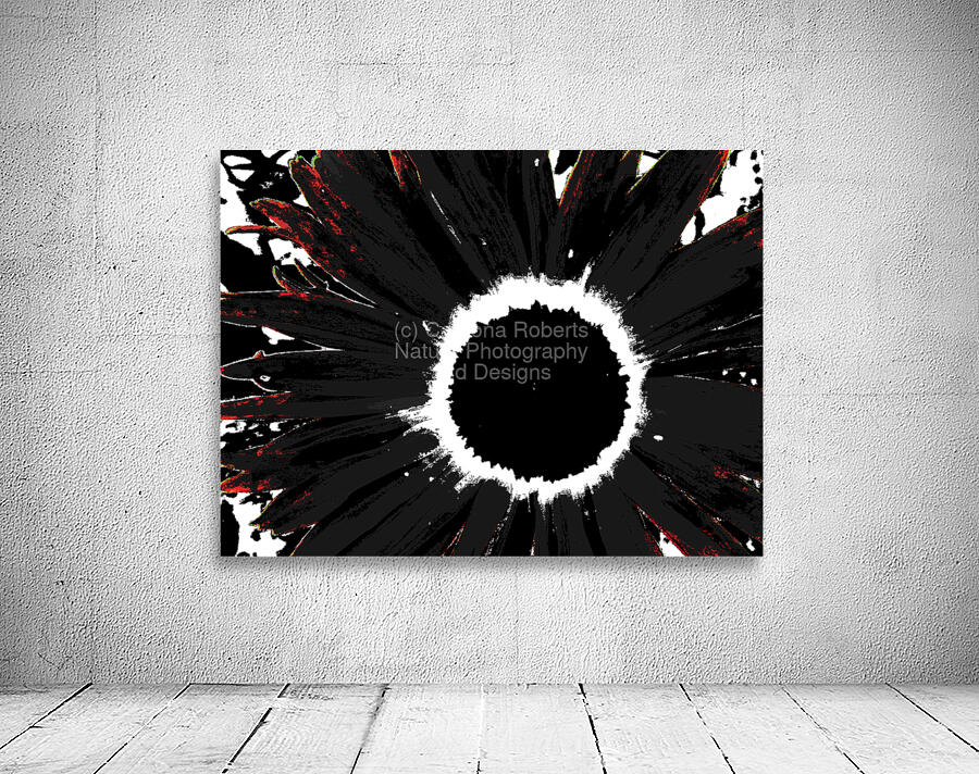 Abstract Black and White Daisy Wall Preview