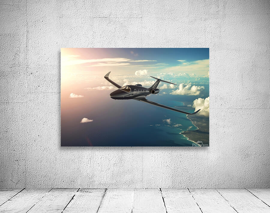 Airplane in sky background Wall Preview
