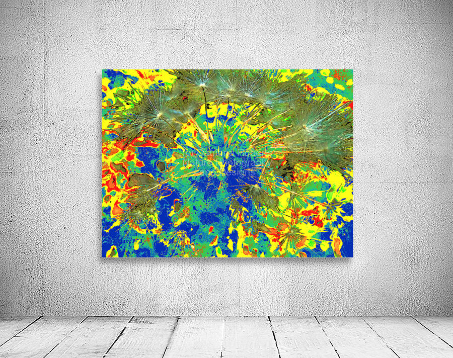 Abstract Colourful Dandelion Seeds  Wall Preview