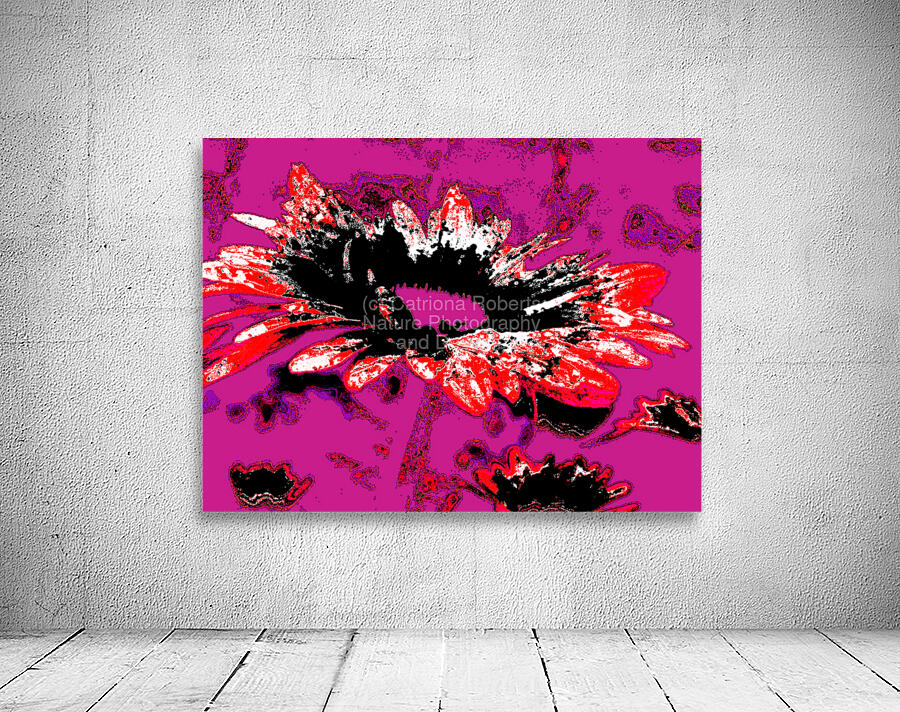 Abstract Red and Black Daisy Flower Wall Preview