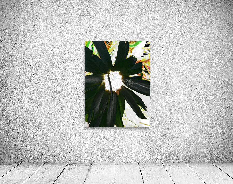 Abstract Dark Daisy  Wall Preview