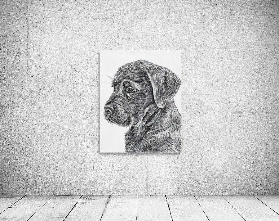 dog 11 by Forgotten Art