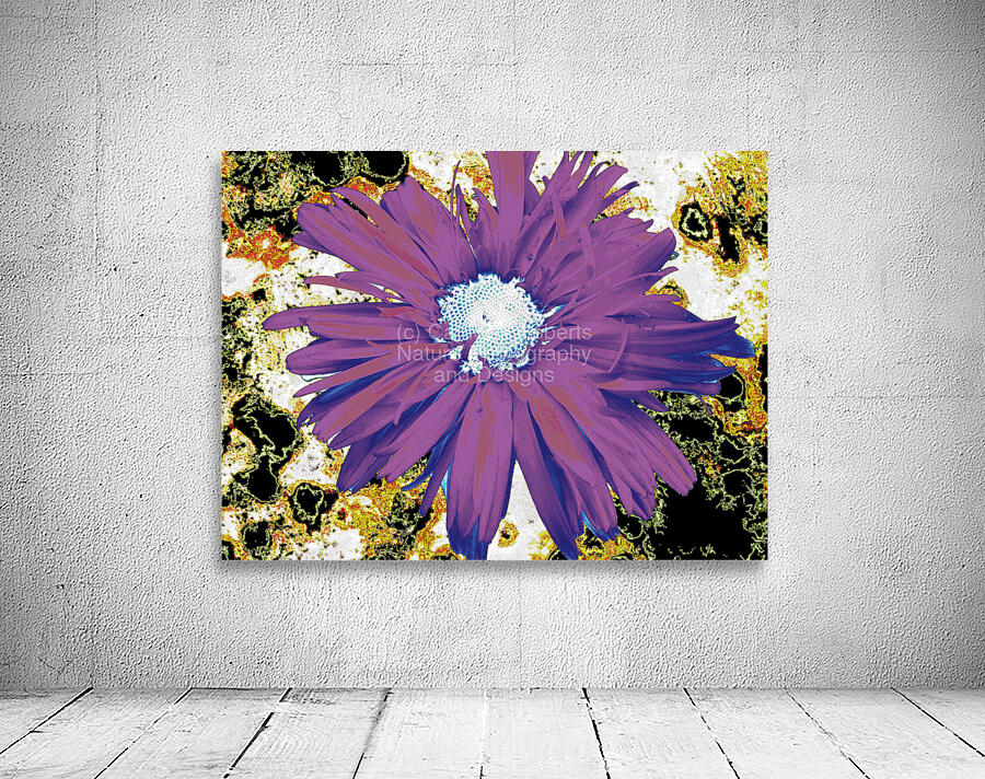 Abstract Purple Daisy Flower Wall Preview