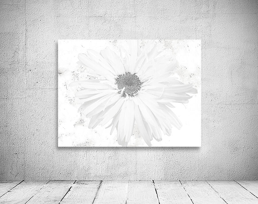 Abstract White Minimalist Daisy Wall Preview