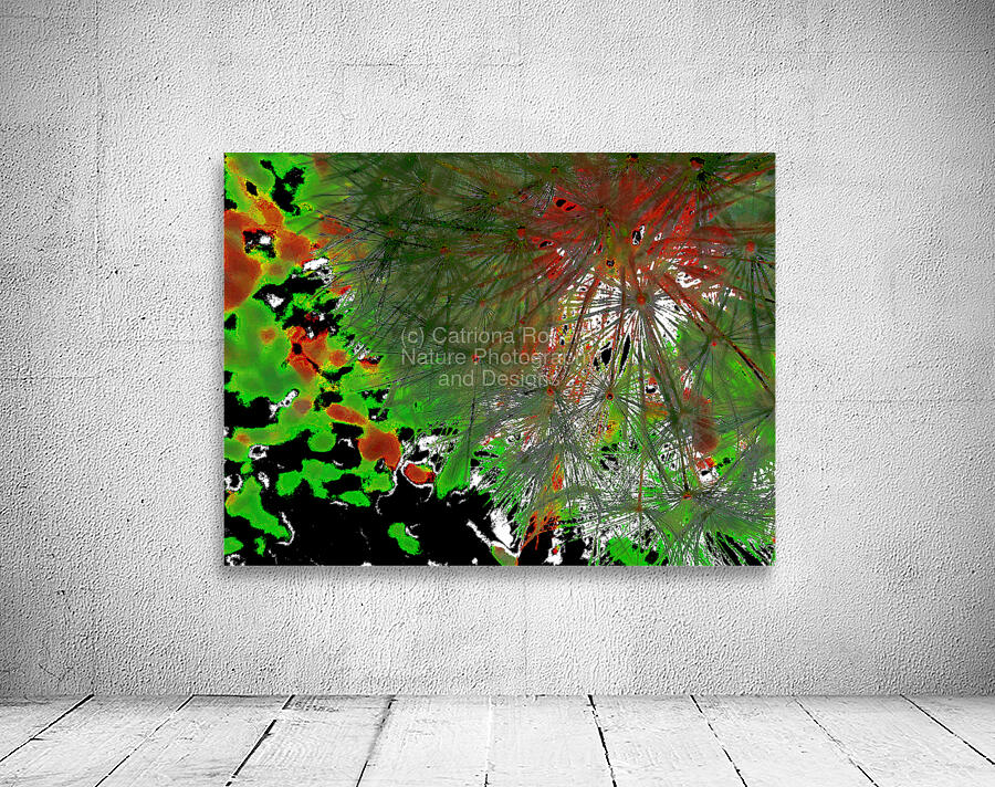 Abstract Vivid Red and Green Dandelion Corner Wall Preview