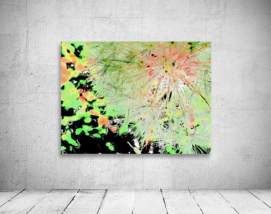 Abstract Wispy Dandelion Corner Wall Preview