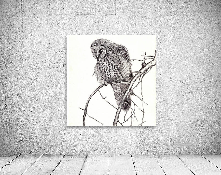 108 owl by Forgotten Art