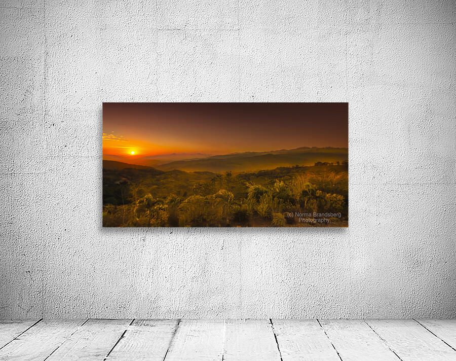 Costa Rica Mountain Plantation by Norma Brandsberg Photography